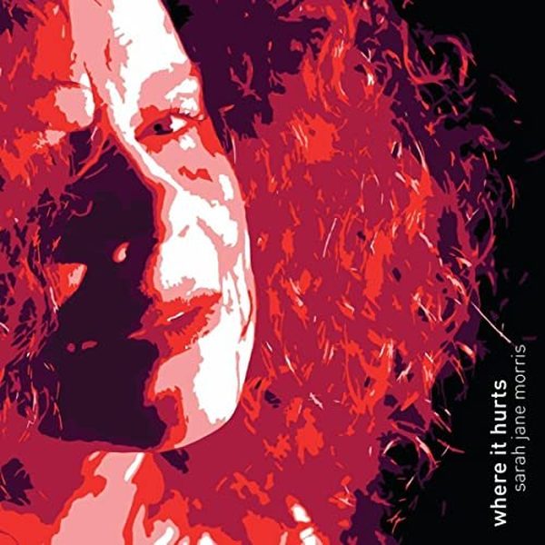 SARAH JANE MORRIS - WHERE IT HURTS (2009)